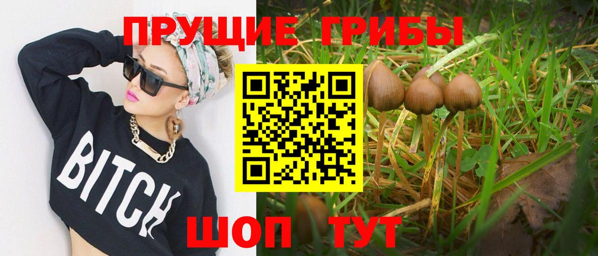Будённовск  Псилоцибиновые грибы ЛСД  Вход с VPN 